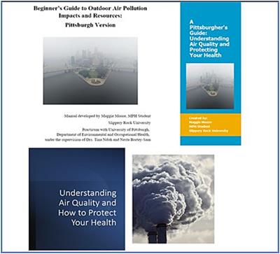 Virtually prepared: designing remote environmental health practicum experiences